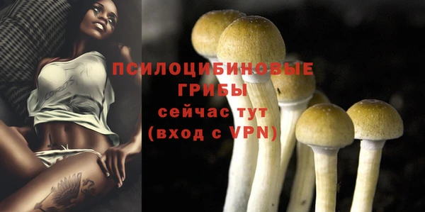 гашик Арсеньев