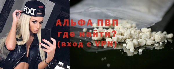 гашик Арсеньев