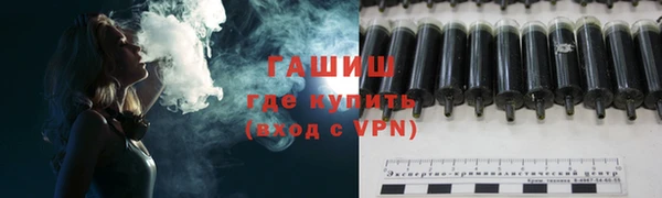 гашик Арсеньев