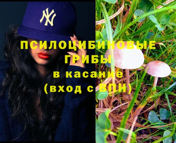 дурь Аркадак