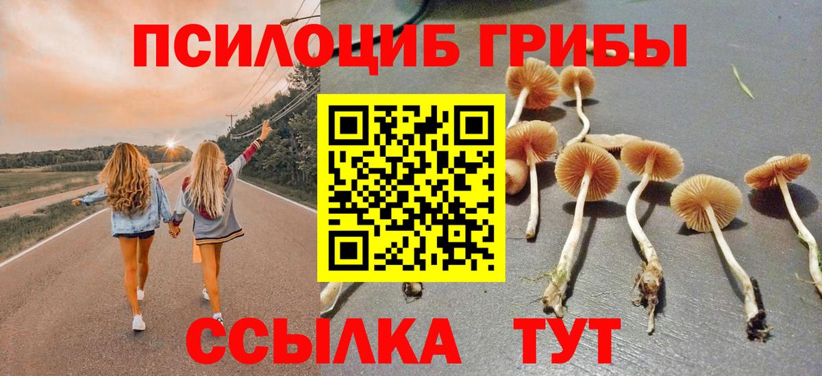 Галлюциногенные грибы Magic Shrooms Лянтор