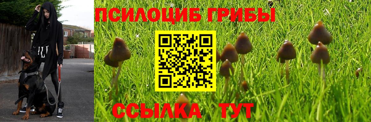 Лянтор  цены   Вход с VPN  Псилоцибиновые грибы ЛСД 